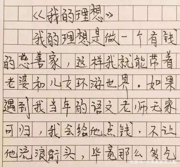 孩子的“理想”有些奇葩,但作文字迹工整,老师也羡慕不已! 3