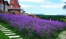 《遥远的救世主》读后感