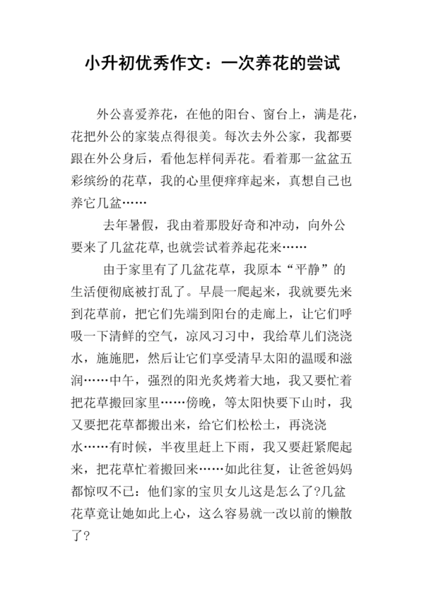 小升初作文指导：小学作文该怎么写_1200字