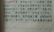 第一次养小狗 优秀写事作文900字