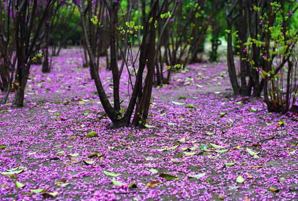 适合高考作文的20句开头，希望能给你带来帮助 3