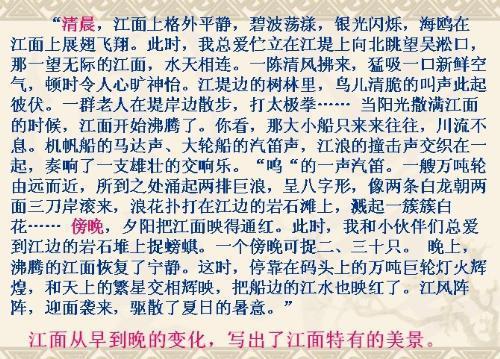 关于爱护环境的初中作文800字
