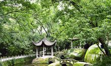 经典作文素材大全（十）——关于少年的描述