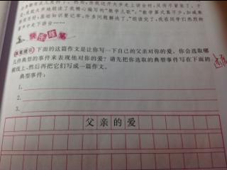 只爱分数的爸爸-小学记叙文400字
