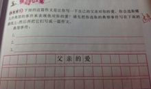 只爱分数的爸爸-小学记叙文400字