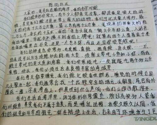 小学生一棵树的自述作文600字