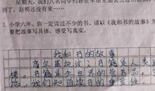 心愿 情感故事作文300字