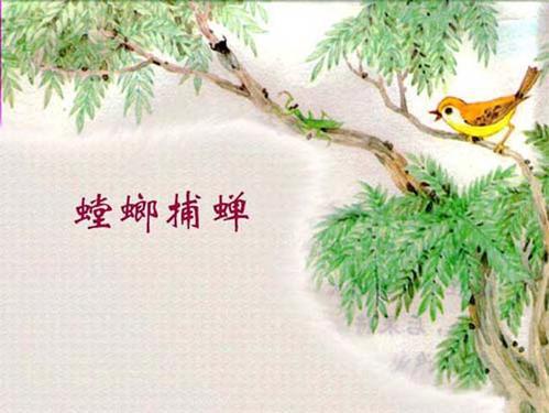 文言文《螳螂捕蝉》的整体含义