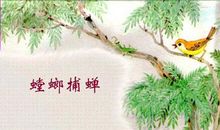 文言文《螳螂捕蝉》的整体含义