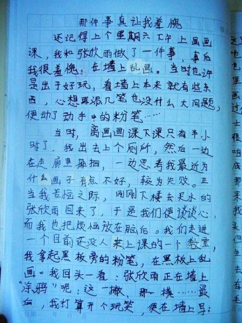 我懂它吗作文