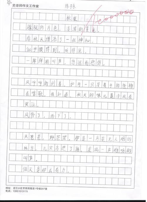 像秋夜一样作文