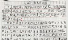 开满丁香花的校园-校园美景作文800字