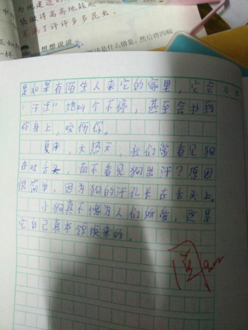 自己的轨迹 做真实的自己800字作文