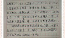 这就是我-爱看书的我作文500字