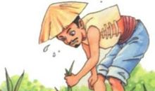 文言文《拔苗助长》阅读答案