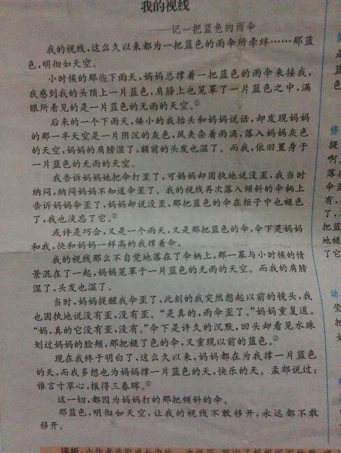 感悟雨中蝴蝶-小学记叙文600字