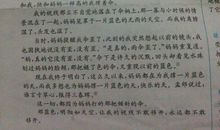 感悟雨中蝴蝶-小学记叙文600字