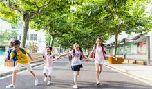 写好作文很简单，晨览作文有秘诀！