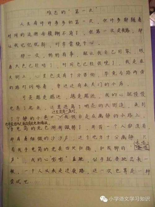 第一次烧菜 难忘的第一次作文600字