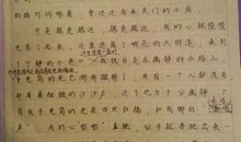 第一次烧菜 难忘的第一次作文600字