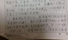 观《养家之人》有感-电影观后感800字