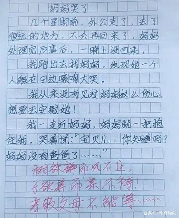 小学生的“奇葩”作文,老师拍手叫好,网友:这就是段子! 3