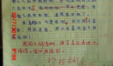 思念在那个秋天 感恩母亲1200字作文
