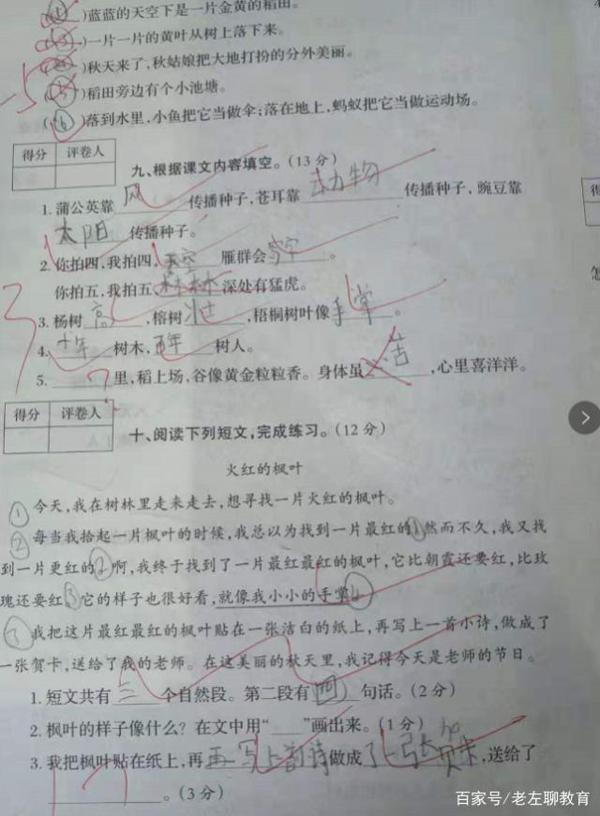 二年级语文月考,小学生71分,老师:积累太少,作文才5分 2