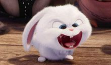 战胜恐惧-《爱宠大机密》观后感400字