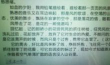 初三写景作文：日出_800字