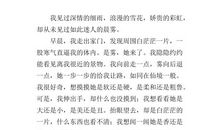 描写晨雾的作文250字