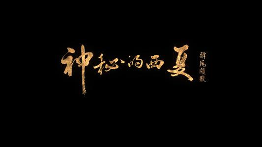 神秘王国――西夏-优秀说明文400字