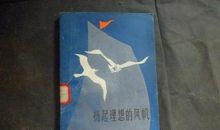 青春励志演讲稿：扬起理想的风帆_900字