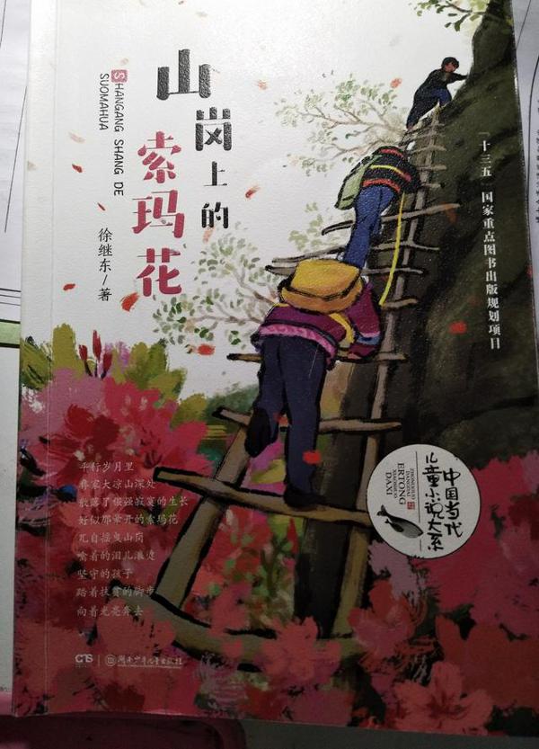 女儿读《山岗上的索玛花》读后感 2