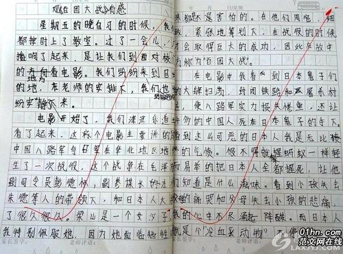 读《昆虫记》有感 小学读后感500字