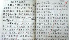 读《昆虫记》有感 小学读后感500字