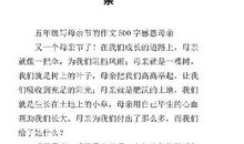 母亲 难以表达的母爱500字作文