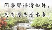 孝 观《我和母亲的那段日子》有感600字