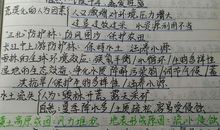 地球的守护者 优秀想象作文1500字