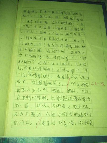 网络课堂，我还是有点喜欢 上网课的利与弊作文400字