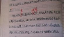 这天，我回家晚了-初中记叙文700字