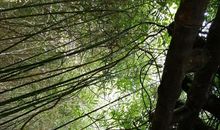 初中作文批改，怎样降低仲裁率？给分标准必须更清晰