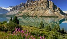 高考作文辅导108：附庸风雅总比炫俗好（驳论文）