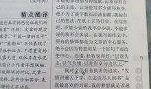 我是男孩我骄傲 我是男生300字作文