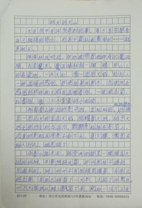 背后 记一次文艺汇演作文600字