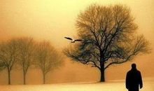 写作文开头方法之运用修辞法