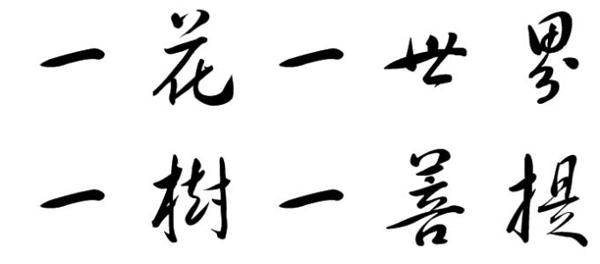 一花一世界_3000字