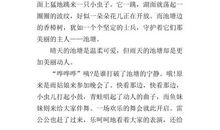 校园一角-美丽的小池塘作文300字