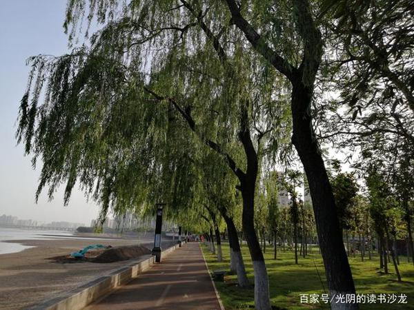 初中作文批改,怎样降低仲裁率?给分标准必须更清晰 2
