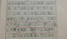 泰山二日游-记一次游玩作文400字